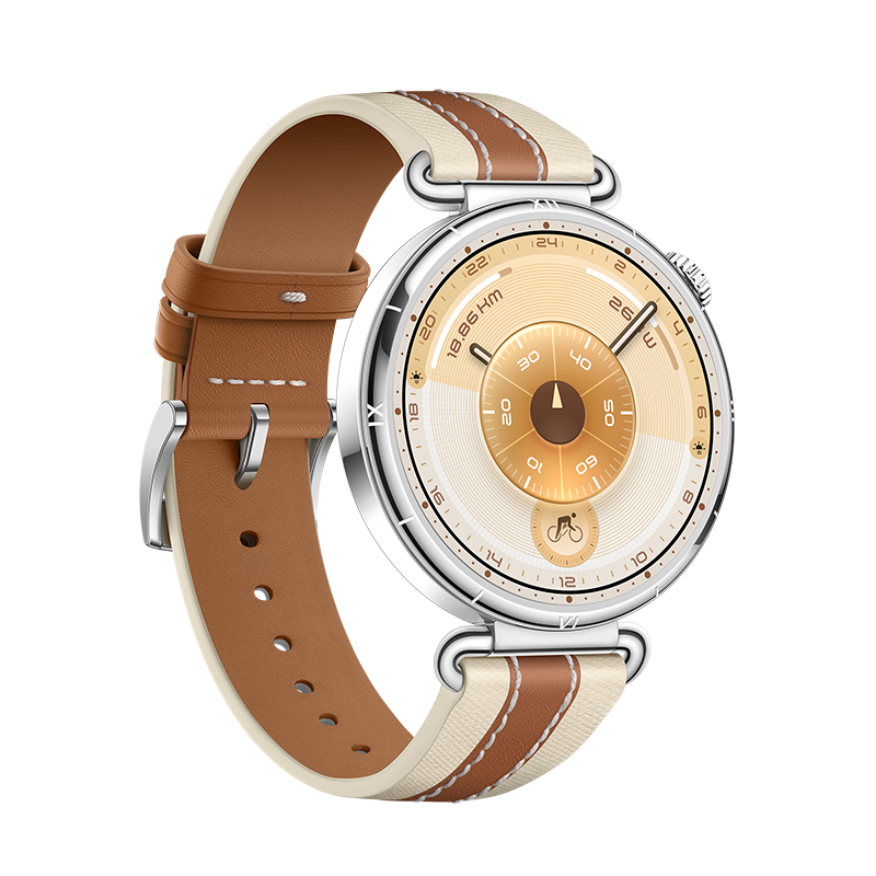 HUAWEI WATCH GT 6 Brown 41mm